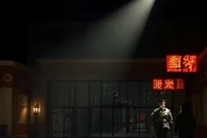 夜路两侧路灯连成两公里光带,路面被月光切成明暗两半